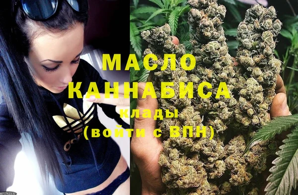 крисы Краснослободск