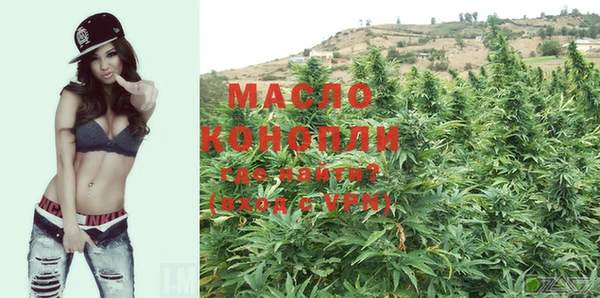 дмт Кукмор