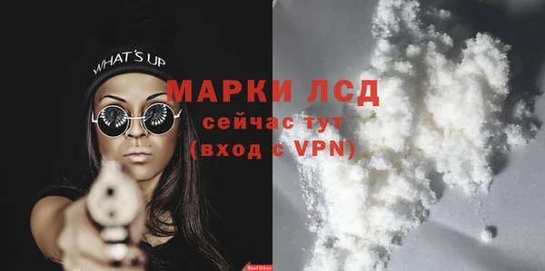 крисы Краснослободск