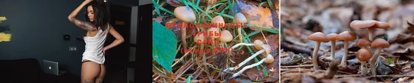 тгк Кулебаки