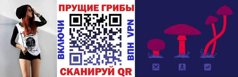 Галлюциногенные грибы Psilocybe kraken ССЫЛКА Краснозаводск